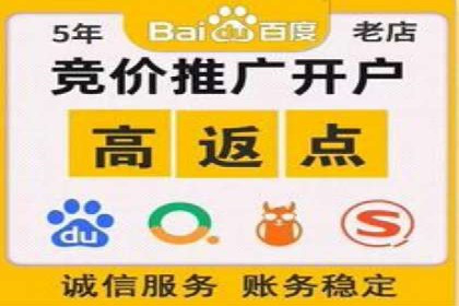 SEM外包服务应用案例分析